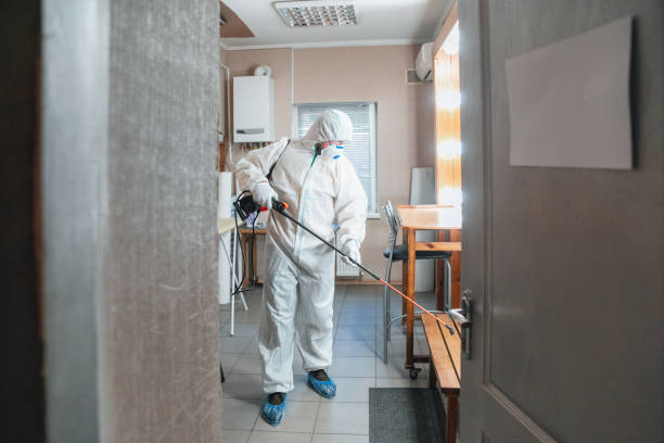 Trusted Fairfax, VA Mold Removal Experts